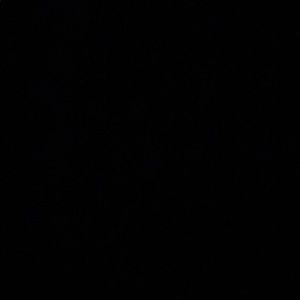 Meet your Posher, Amani